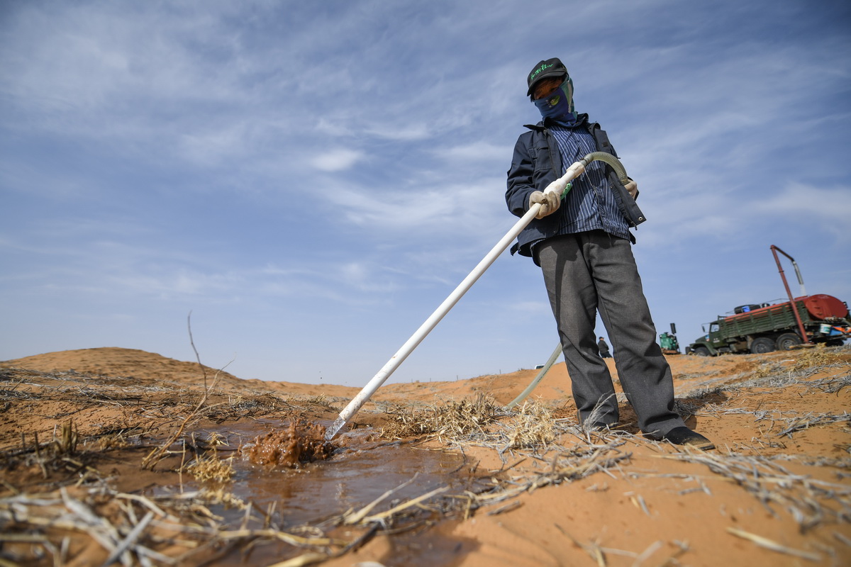 4月2日，在阿拉善左旗的腾格里沙漠中，工人在给花棒浇水。