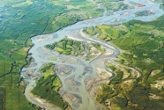 我国首批实施水量统一调度的内陆河—— 黑河水 润绿洲