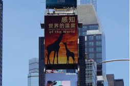 《感知世界的溫度》宣傳片亮相紐約時報廣場大屏